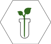 Second Banner Image